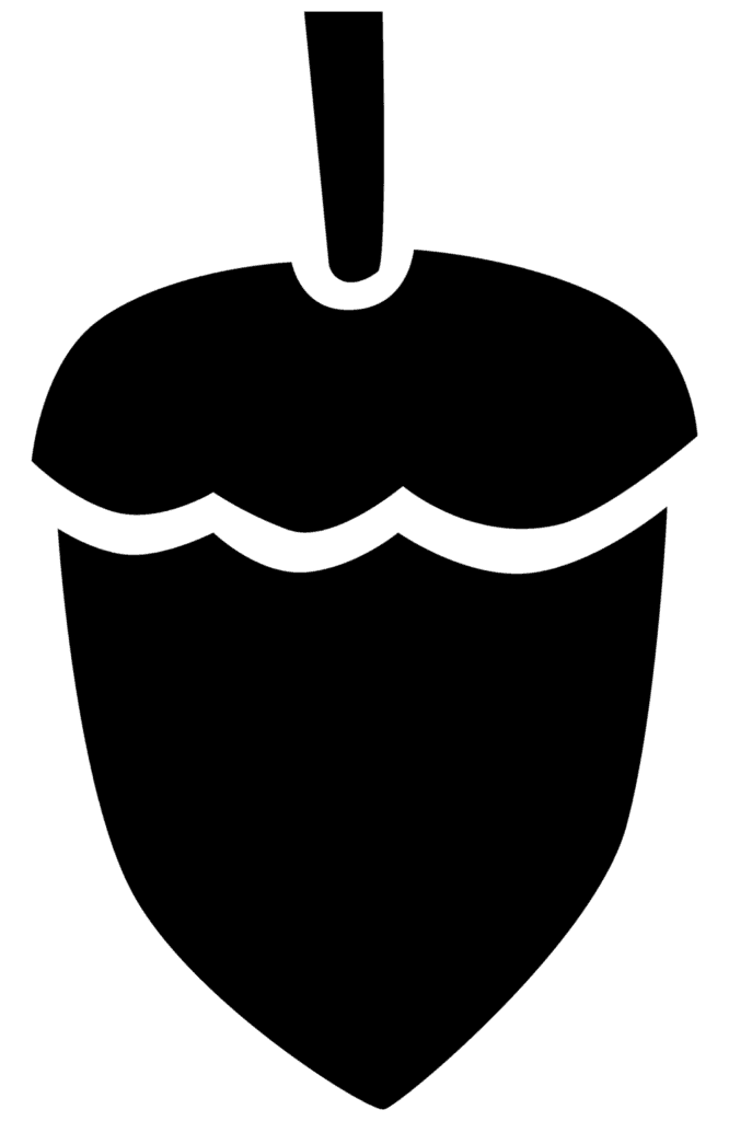 Acorn
