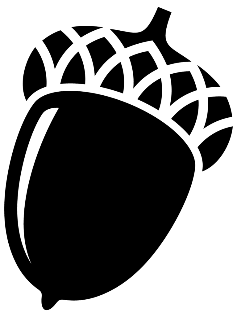 Acorn