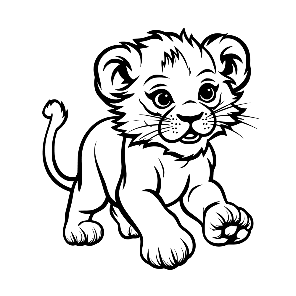 Baby lion