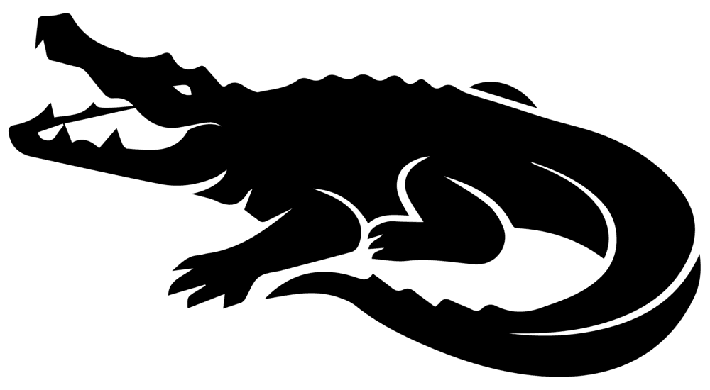 Crocodile