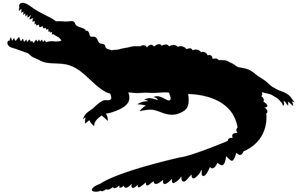 Crocodile