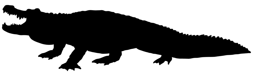 Crocodile
