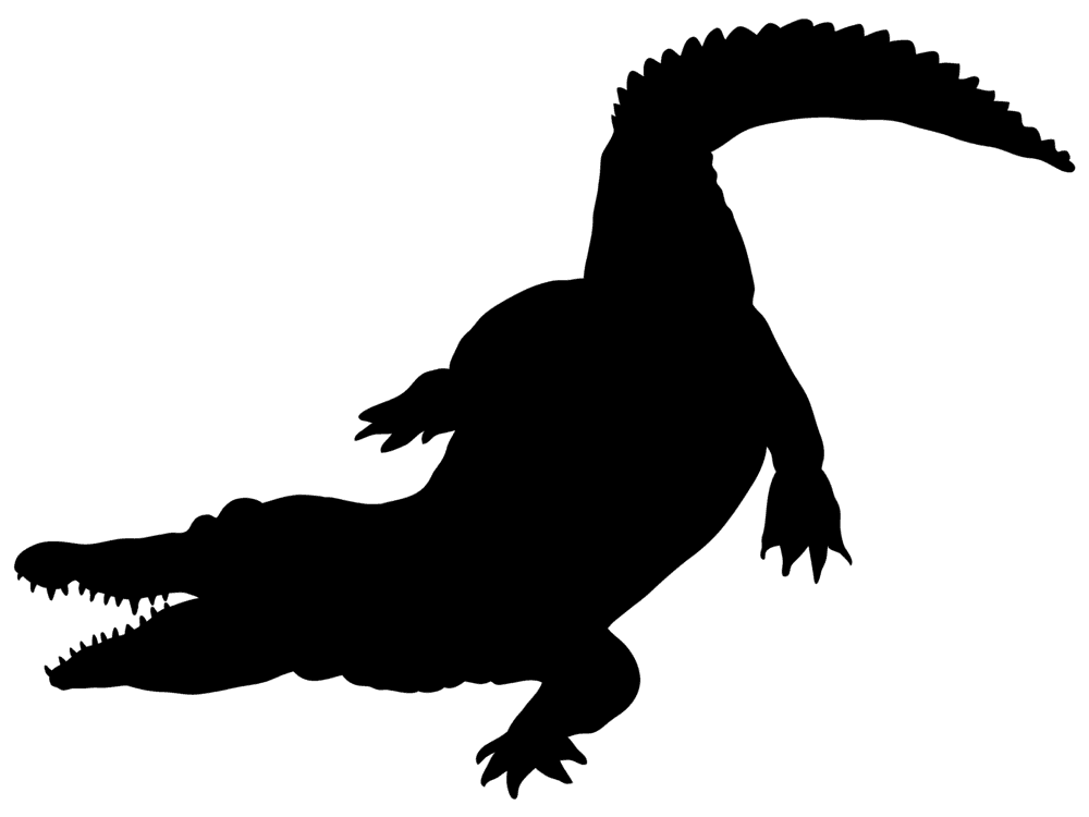 Crocodile