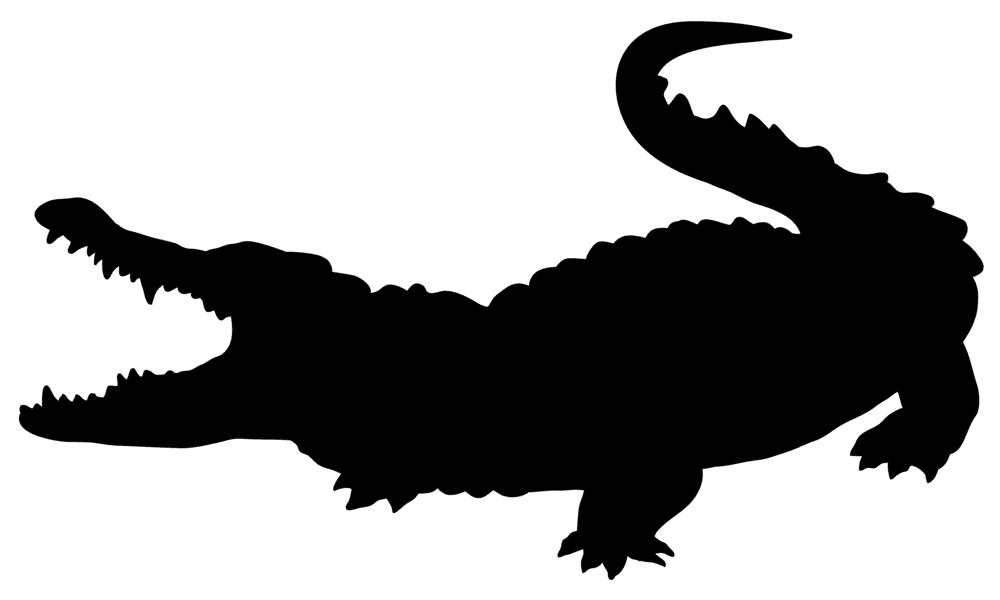 Crocodile