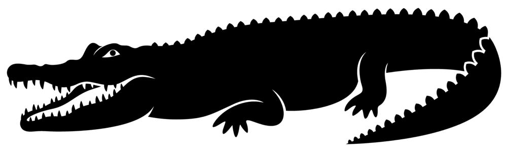 Crocodile