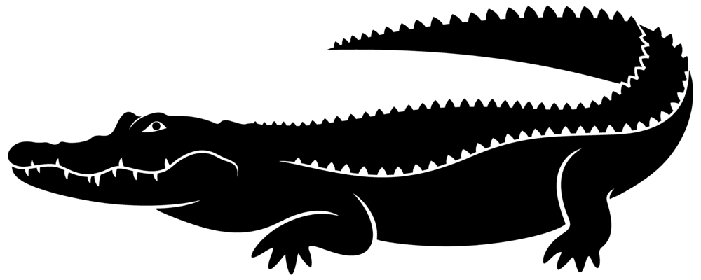 Crocodile