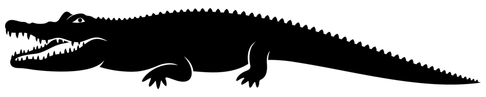 Crocodile