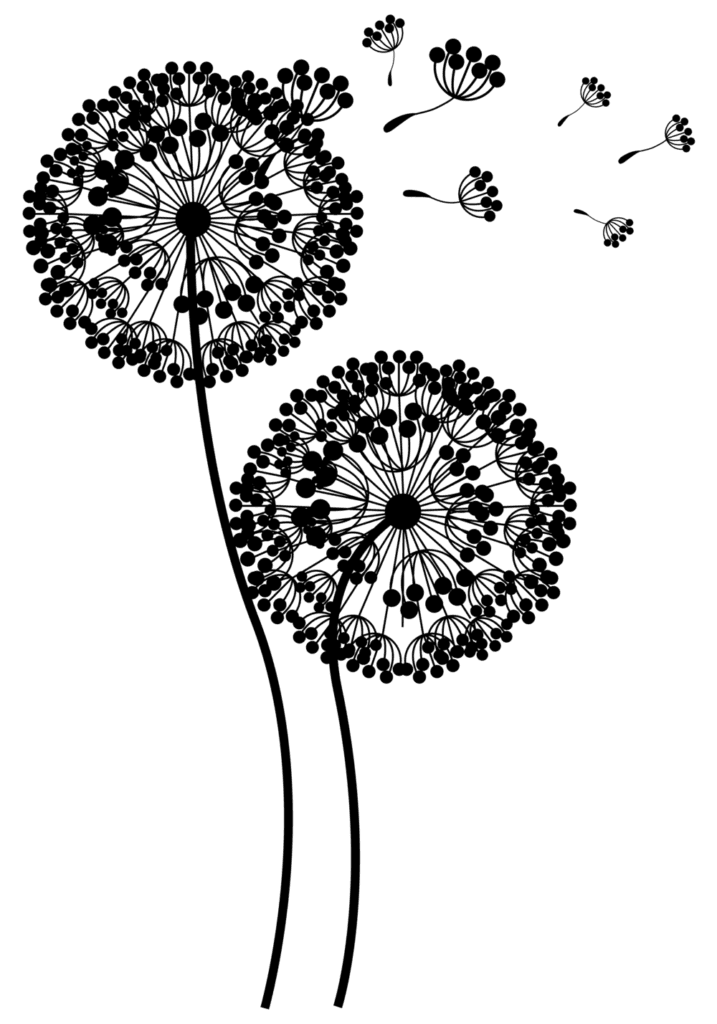 Dandelion