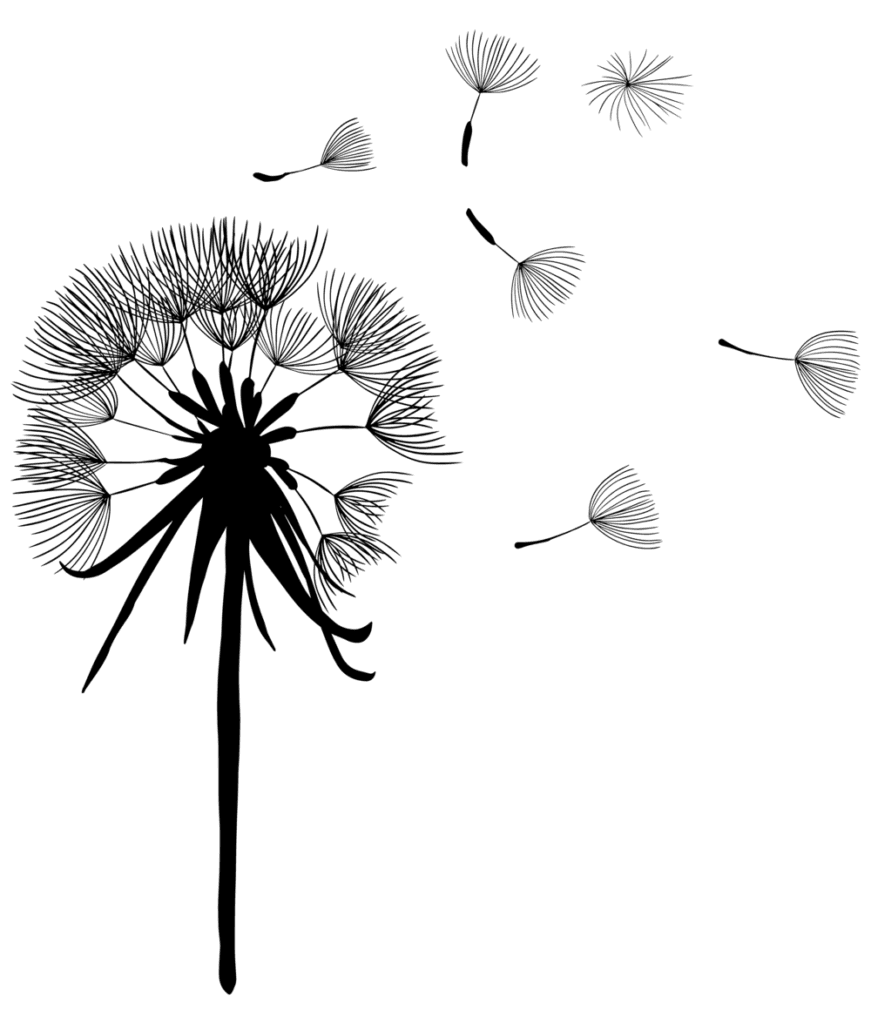 Dandelion