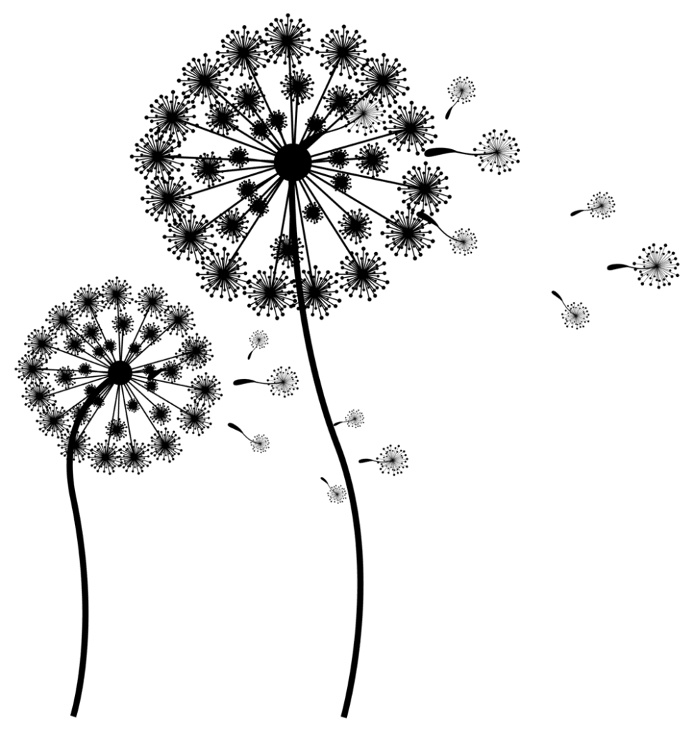 Dandelion