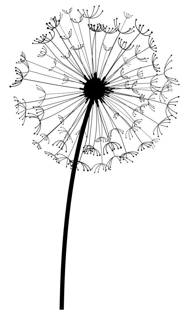 Dandelion