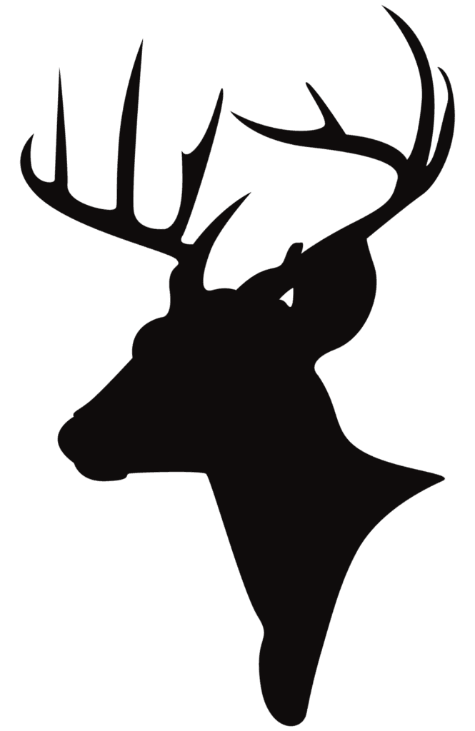 Deer head