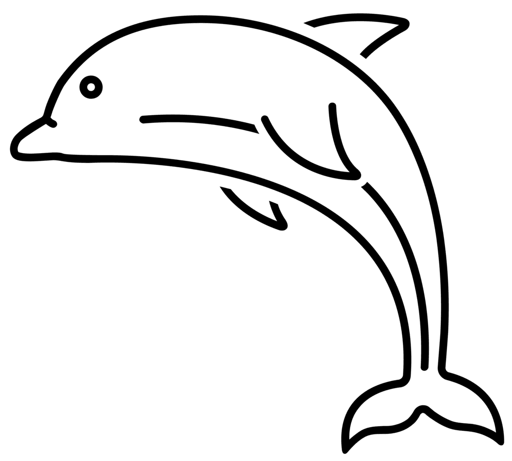 Dolphin