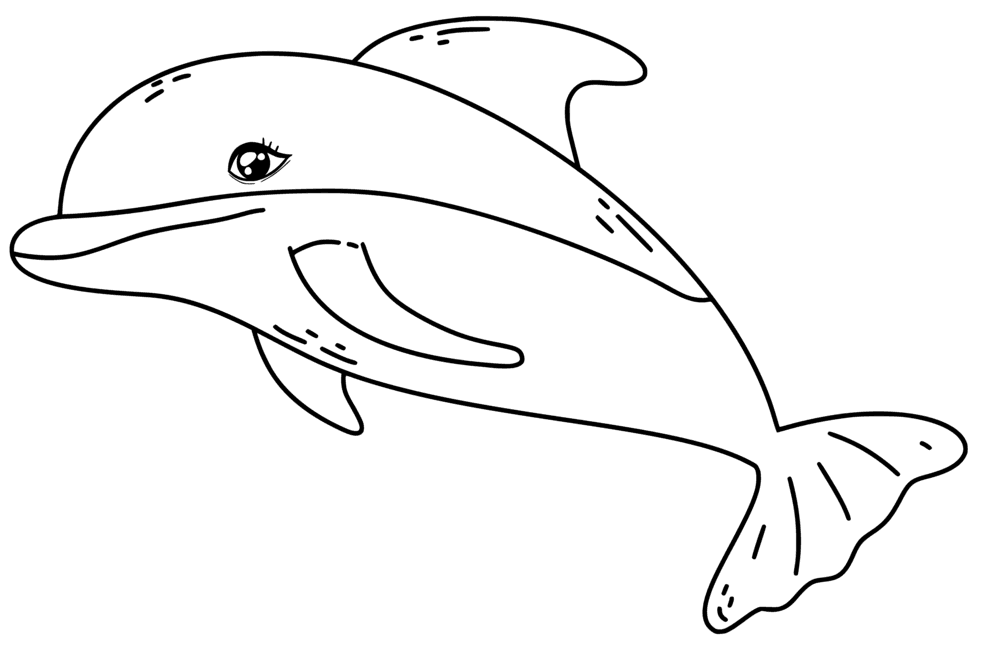 Dolphin