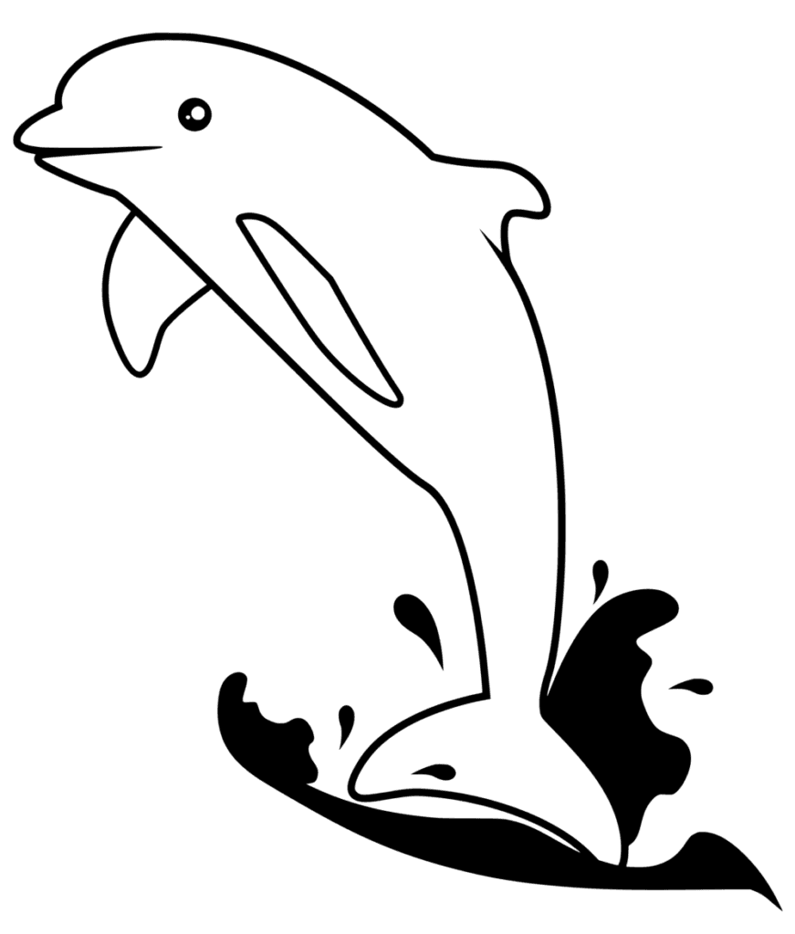 Dolphin