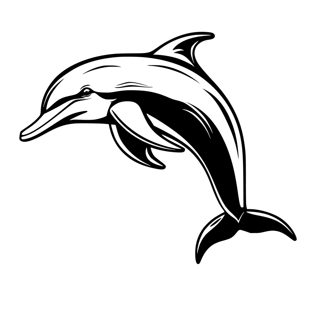 Dolphin
