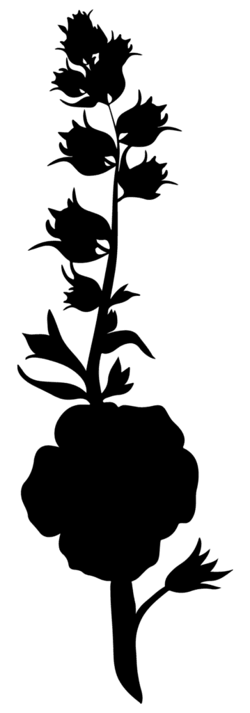 Flower silhouette