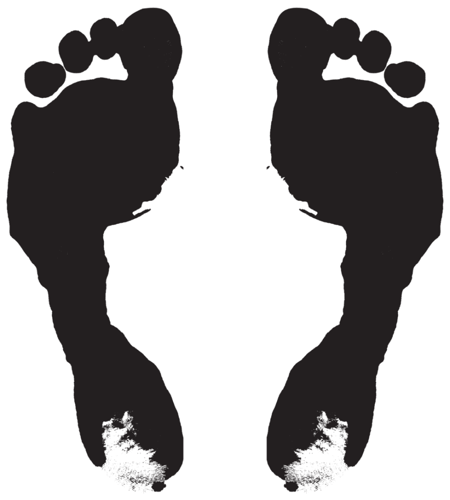 Footprint