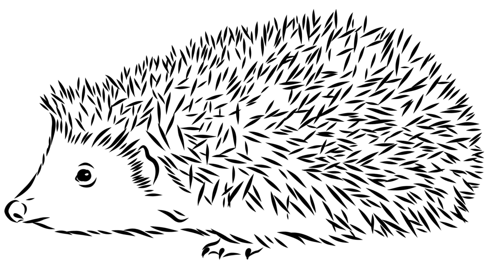 Hedgehog