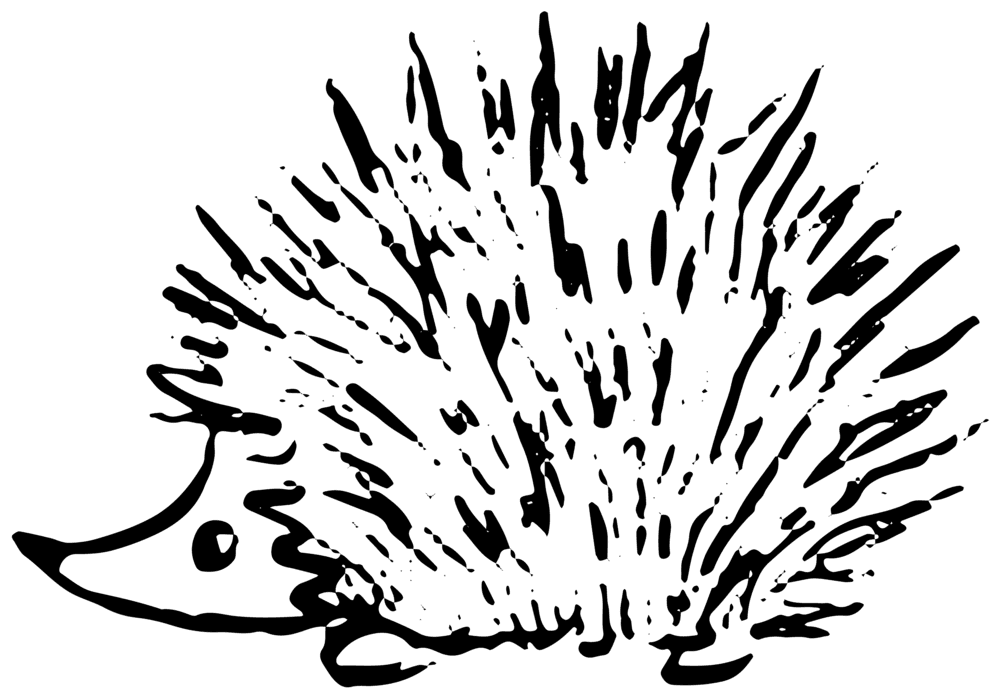 Hedgehog