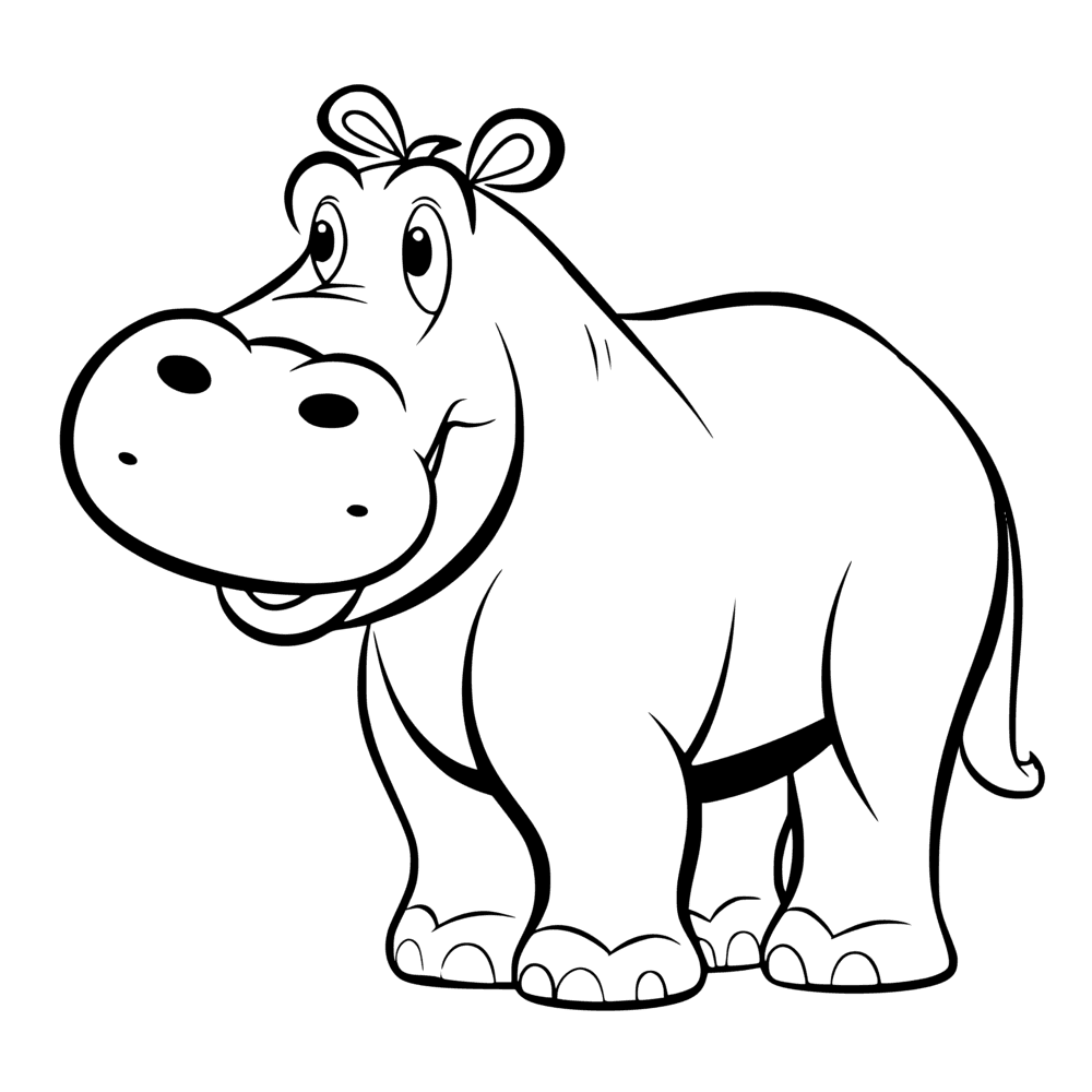 Hippo