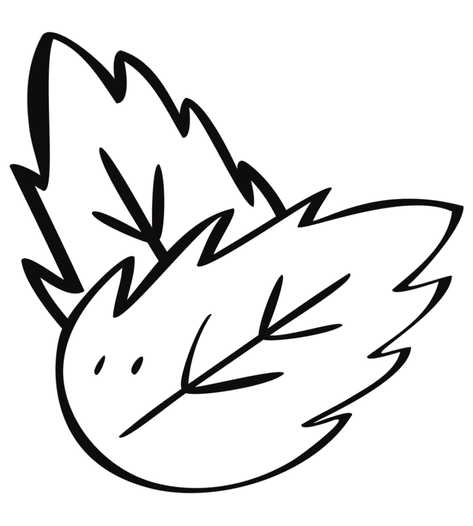 Mint leaf
