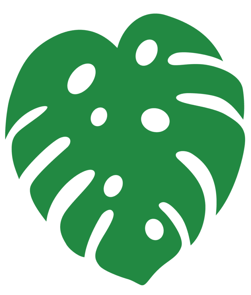 Monstera leaf