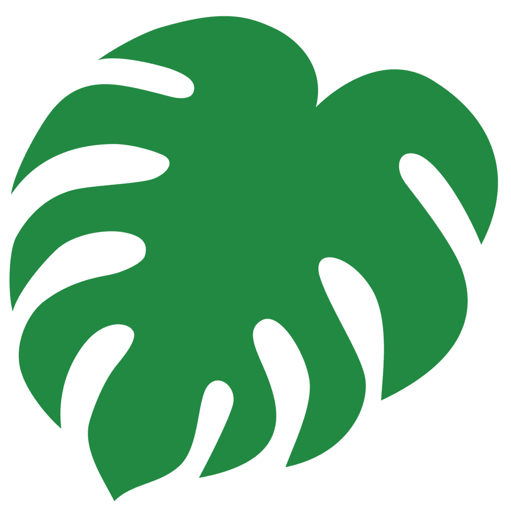 Monstera leaf