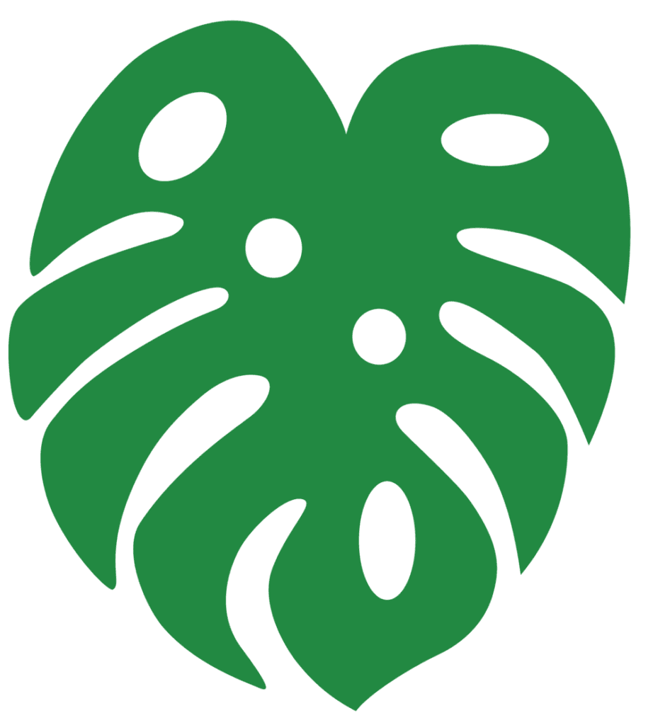 Monstera leaf