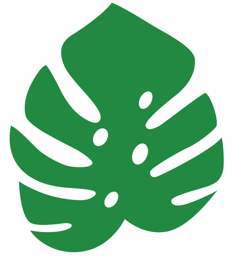 Monstera leaf