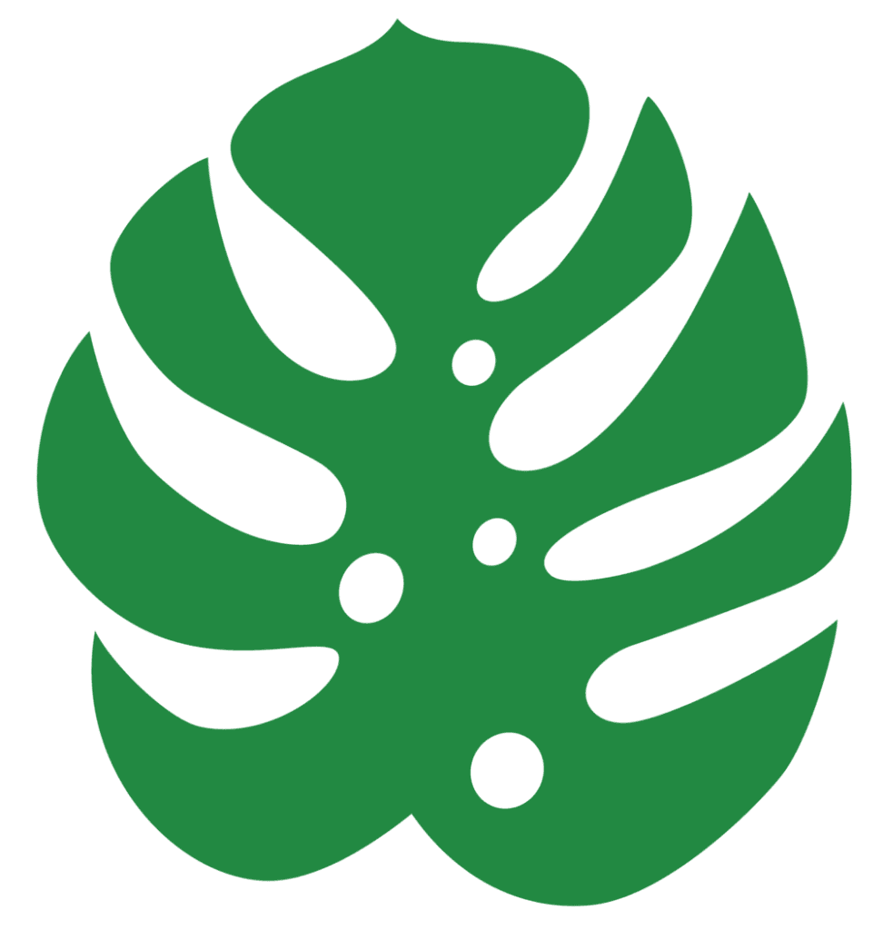 Monstera leaf