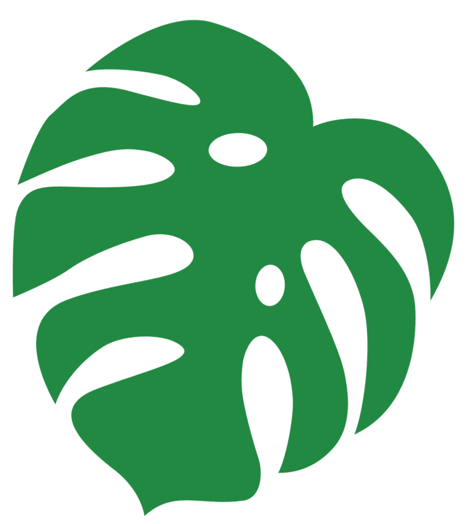 Monstera leaf