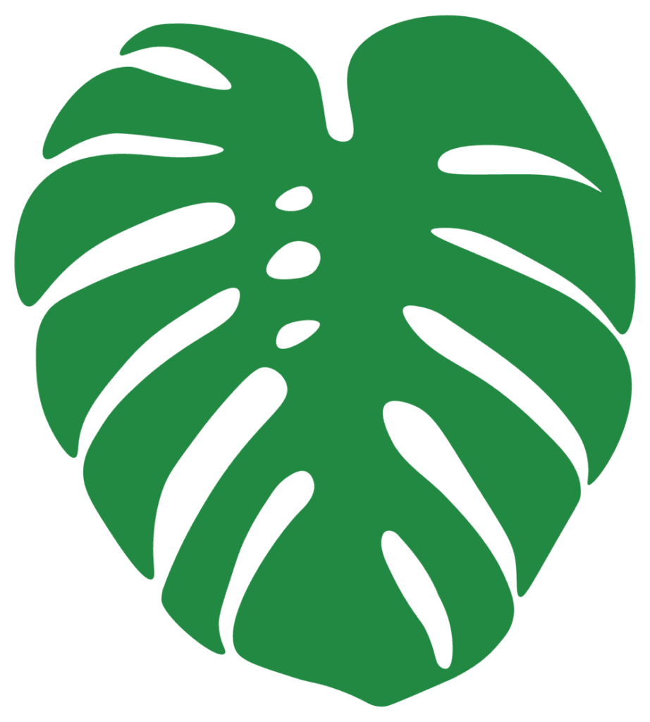 Monstera leaf