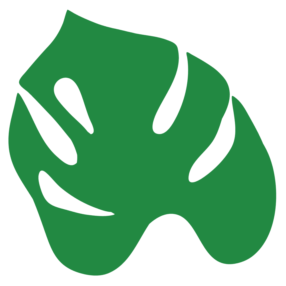 Monstera leaf