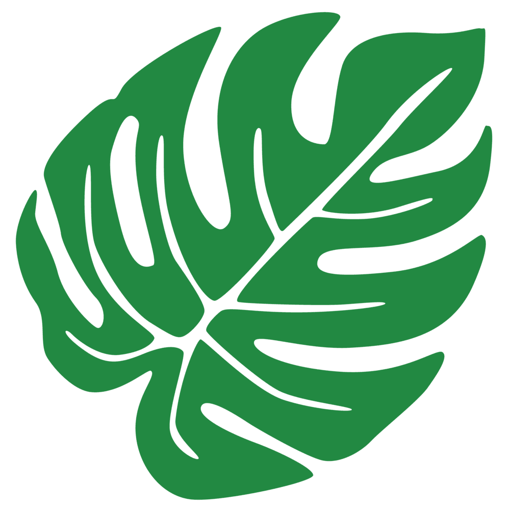 Monstera leaf