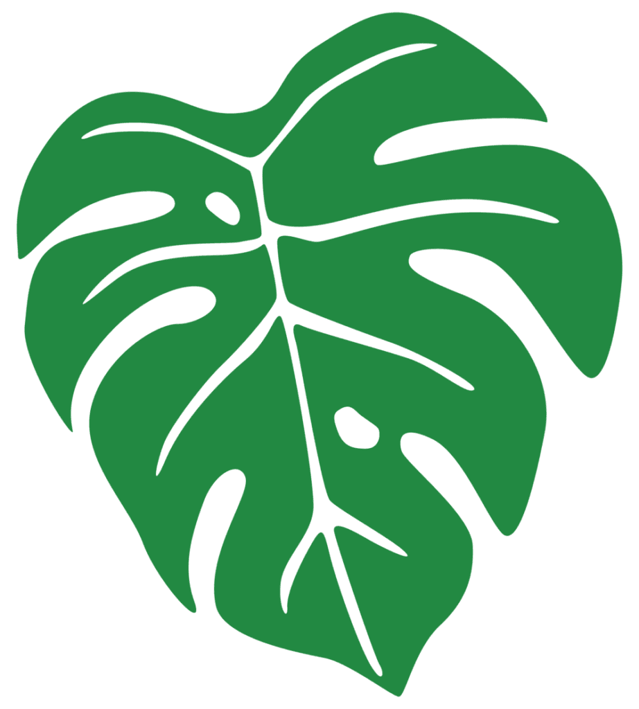 Monstera leaf