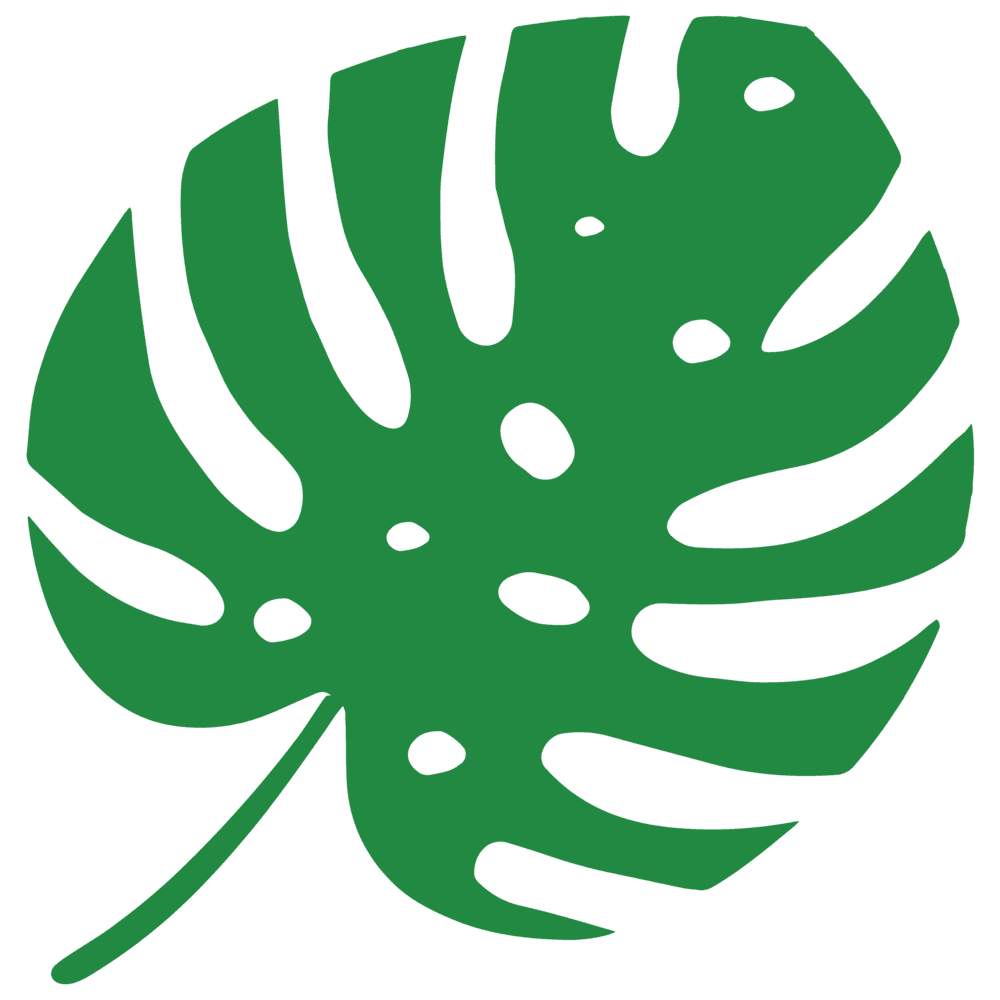 Monstera leaf