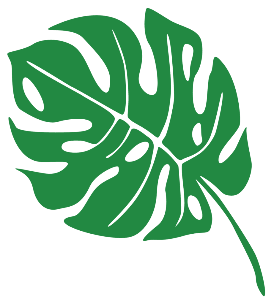 Monstera leaf