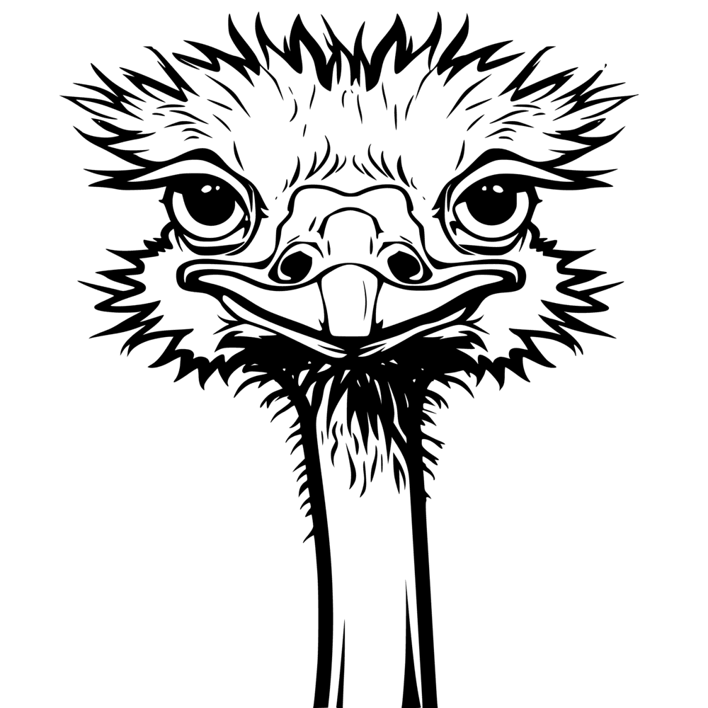 Ostrich