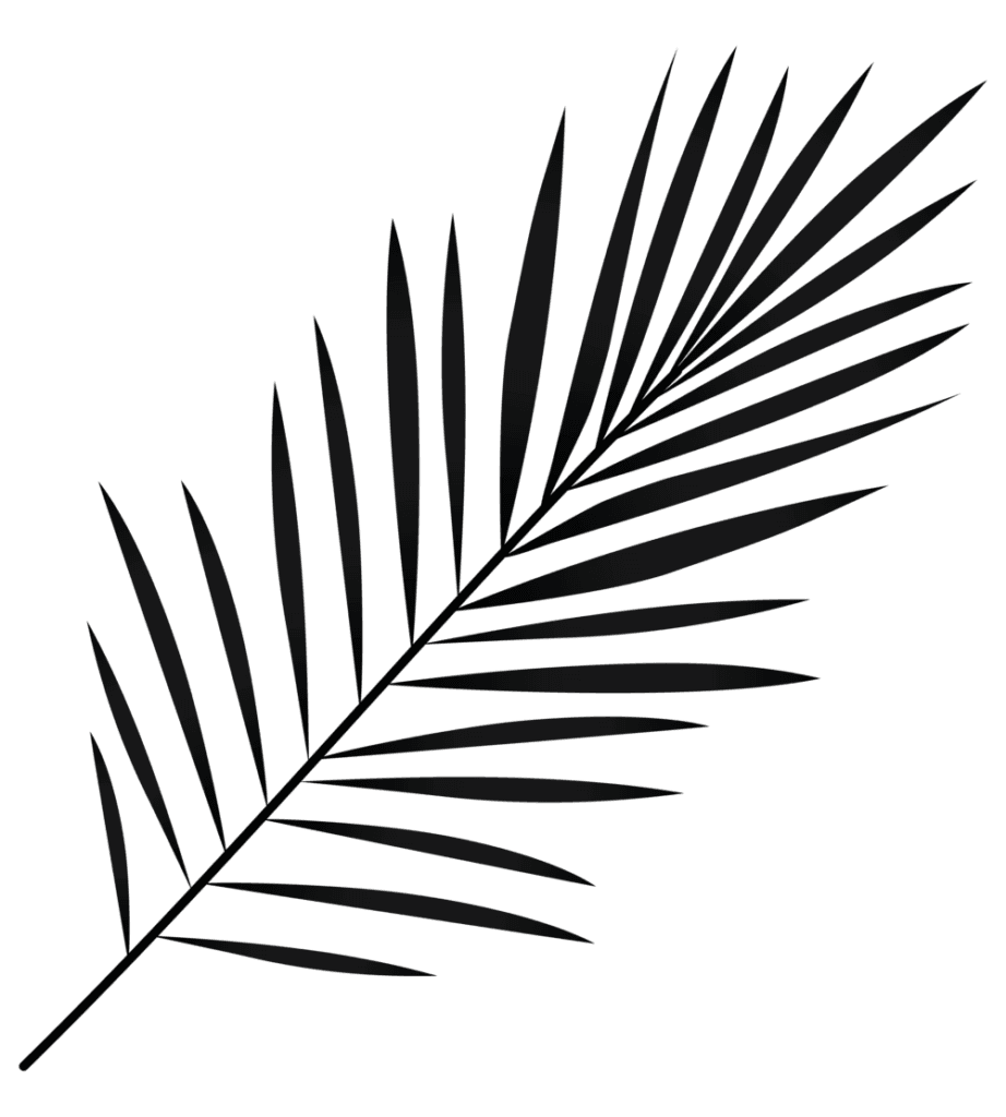 Palm leaf