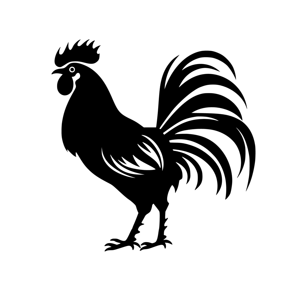 Rooster