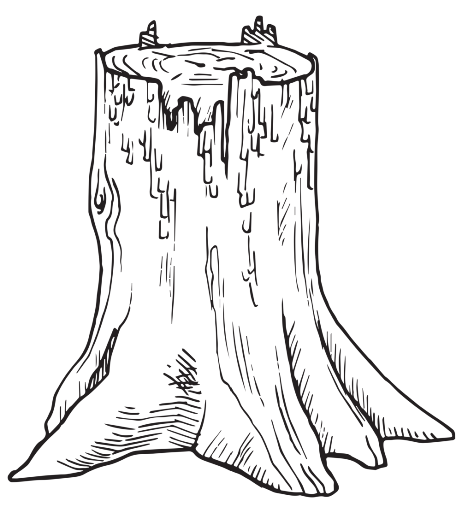 Tree stump